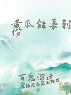 黄瓜能长到几月份