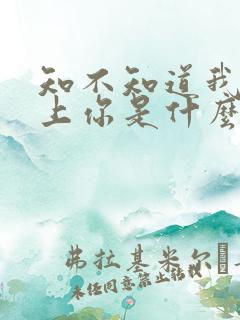 知不知道我已爱上你是什么歌