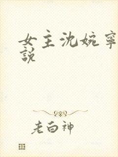 女主沈婉宁的小说