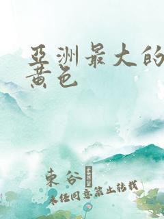 亚洲最大的免费黄色
