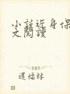小说近身保镖全文阅读