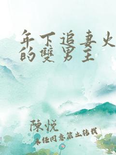年下追妻火葬场的双男主