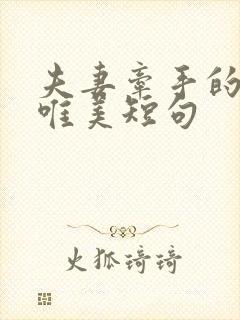 夫妻牵手的句子唯美短句