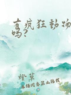 有疯狂动物城2吗?