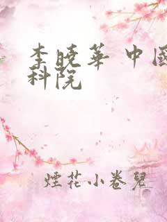 李晓华 中国社科院