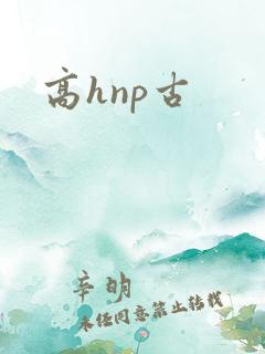 高hnp古