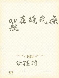 av在线我操导航