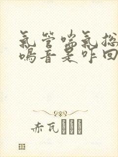 气管喘气总有哮鸣音是咋回事