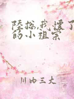 陆总,我怀了你的小祖宗 陆总,我怀了你的小祖宗