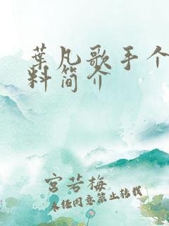叶凡歌手个人资料简介