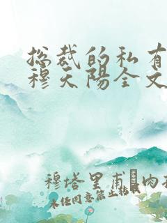 总裁的私有宝贝穆天阳全文免费