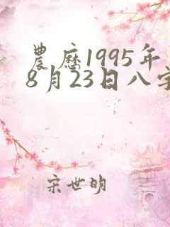 农历1995年8月23日八字算命
