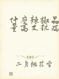 什么辣椒品种产量高又抗病