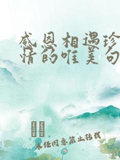 感恩相遇珍惜友情的唯美句子