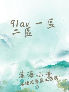 91av 一区二区