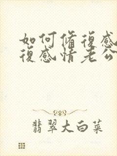 如何修复感情修复感情老公出轨婚姻