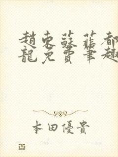赵东苏菲都市潜龙免费笔趣阁