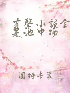 有声小说金麟岂是池中物