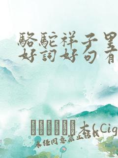 骆驼祥子里面的好词好句有哪些