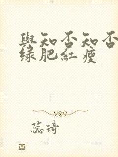 与知否知否应是绿肥红瘦