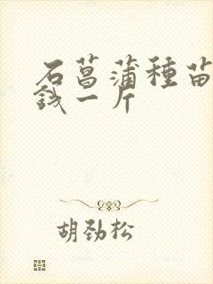 石菖蒲种苗多少钱一斤