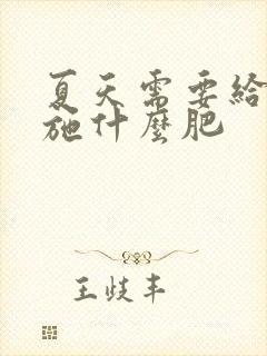夏天需要给兰花施什么肥