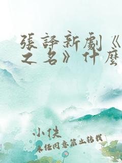 张译新剧《以法之名》什么时候播出