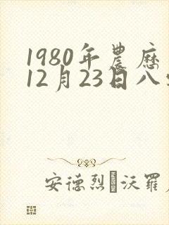 1980年农历12月23日八字精批