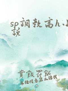 sp调教高h小说