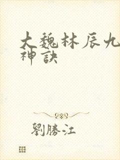 大魏林辰九天斩神诀 大魏林辰九天斩神诀
