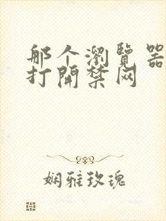 那个浏览器可以打开禁网