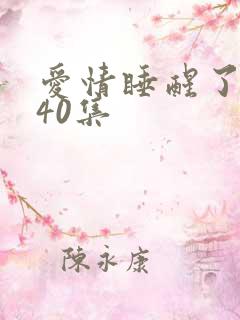 爱情睡醒了全集40集