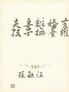 夫妻离婚有两个孩子抚养权怎么判定