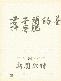 君子兰的养殖施什么肥