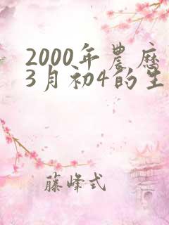2000年农历3月初4的生辰八字