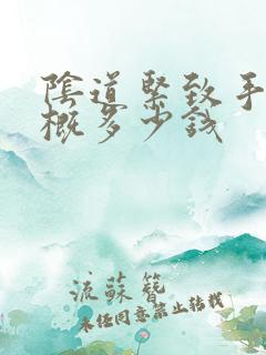 阴道紧致手术大概多少钱