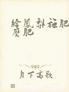 给凤梨施肥用什么肥