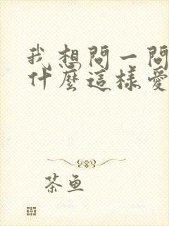 我想问一问你为什么这样爱我歌词