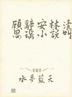 顾辞安林清浅沈思瑶小说叫什么名字