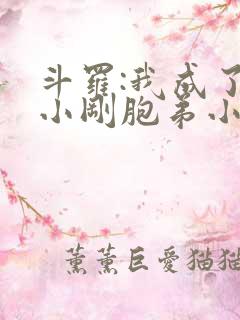 斗罗:我成了玉小刚胞弟小说