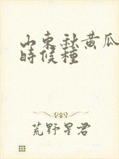 山东秋黄瓜什么时候种