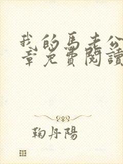 我的马老公40章免费阅读全文