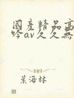 国产精品高潮呻吟av久久无吗