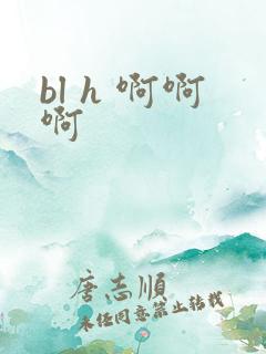 bl h 啊啊啊