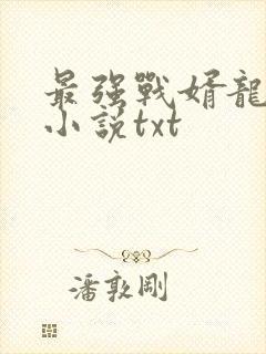 最强战婿龙王殿小说txt