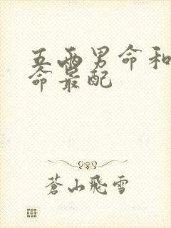 五两男命和什么命最配