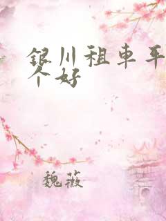 银川租车平台哪个好