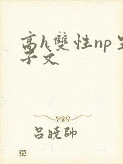 高h双性np生子文