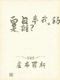 白日梦我的作者是谁?