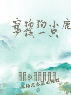 宠物狗小鹿犬多少钱一只